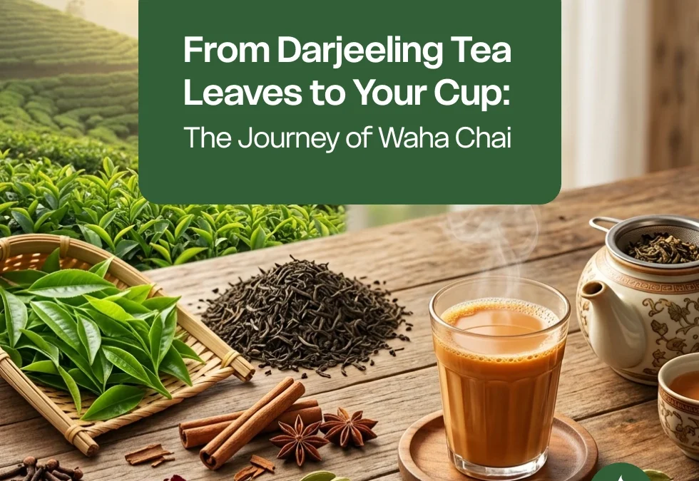 From Darjeeling Tea Leaves to Your Cup: The Journey of Waha Chai
