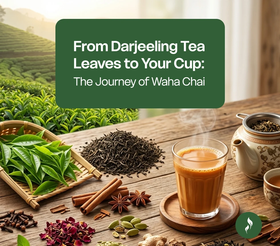 From Darjeeling Tea Leaves to Your Cup: The Journey of Waha Chai
